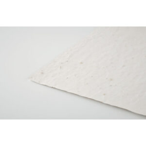 ASIDI Hoja A4 de papel con semillas - Imagen 3